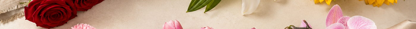 Flower Meaning Guide: What Different Flowers and Colors Symbolize