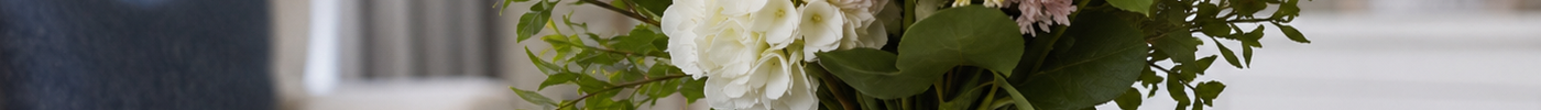 How to Keep Flowers Fresh Longer: Expert Flower Care Tips That Work