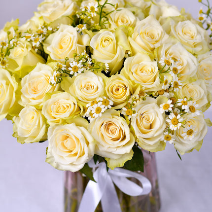 Ivory Rose