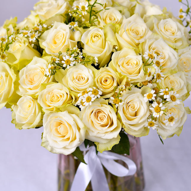 Ivory Rose