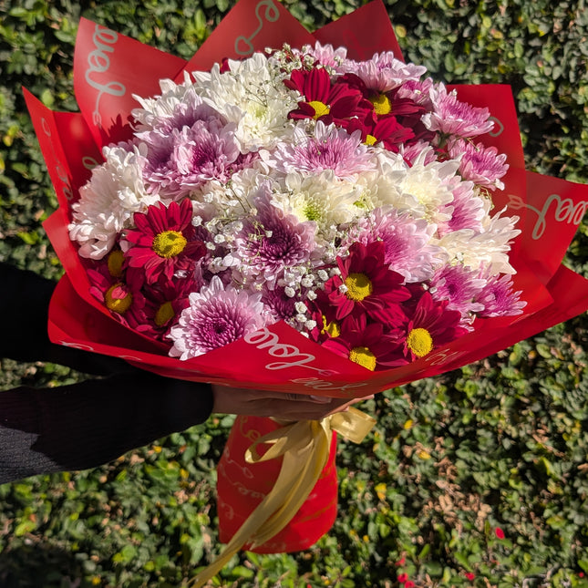 Cherish bouquet with mixed chrysanthemums in red wrap and ribbon, arranged for a vibrant floral gift.